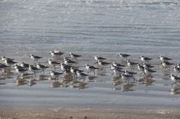 IMG_3475
