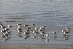 IMG_3476