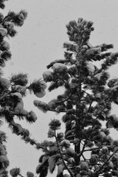 IMG_3488