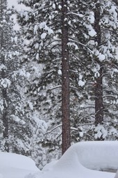IMG_3489