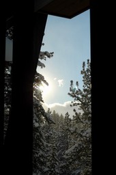 IMG_3498