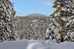 IMG_3499