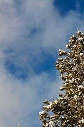 IMG_3504