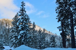 IMG_3506