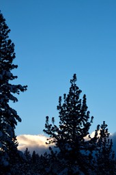 IMG_3510