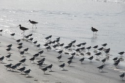 IMG_3511