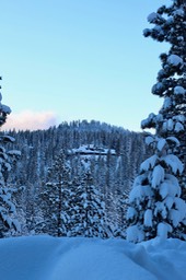 IMG_3511