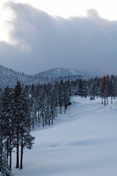 IMG_3521
