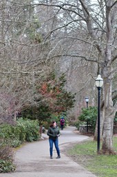 IMG_3597