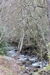 IMG_3603