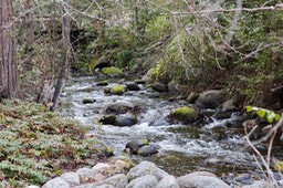 IMG_3605