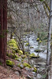 IMG_3611.jpeg