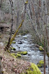 IMG_3612.jpeg