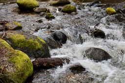 IMG_3627.jpeg