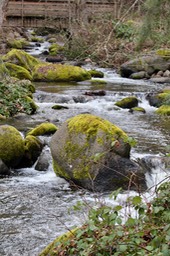 IMG_3630.jpeg