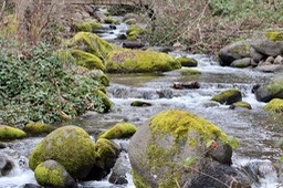 IMG_3631.jpeg