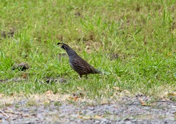 IMG_3670