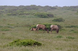 IMG_3695