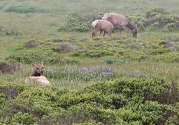 IMG_3696