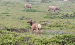 IMG_3707