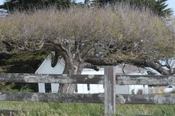 IMG_3760