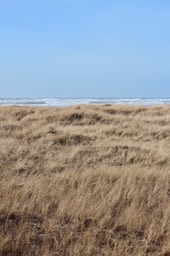 IMG_3832