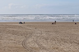 IMG_3839