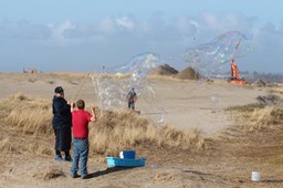 IMG_3849