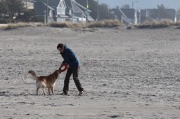 IMG_3876