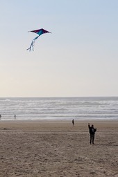 IMG_3884