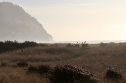 IMG_3886