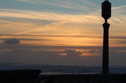 IMG_3892