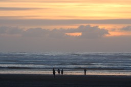 IMG_3894