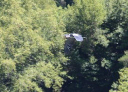 IMG_3898