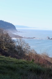 IMG_3903
