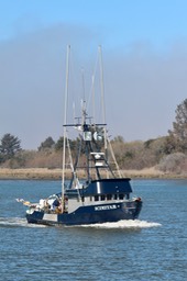 IMG_3916
