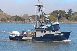 IMG_3918