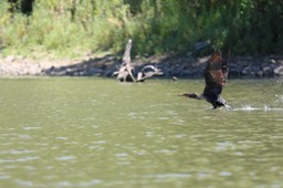 IMG_3925