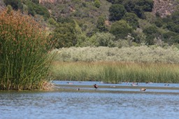IMG_3951