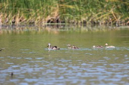 IMG_3957