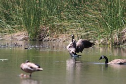 IMG_3974