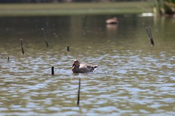 IMG_3992