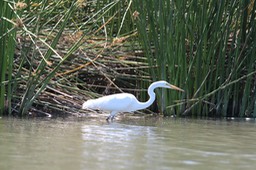IMG_4076