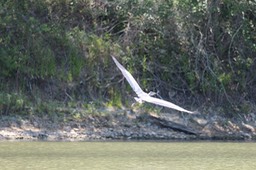 IMG_4123