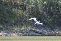 IMG_4124