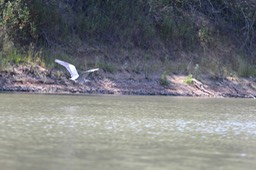 IMG_4133