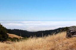 IMG_4358