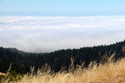 IMG_4359