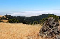 IMG_4361