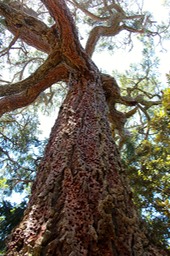 IMG_4365
